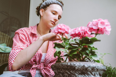 TOP tipy na pestovanie muškátov – pre krásne a bohaté kvety!