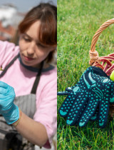 Prechodné obdobie v záhrade: Čo robiť, keď nemrzne, ale ešte nie je jar