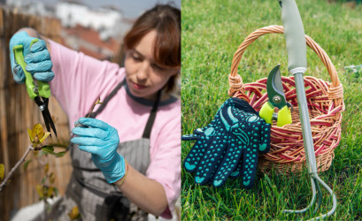 Prechodné obdobie v záhrade: Čo robiť, keď nemrzne, ale ešte nie je jar