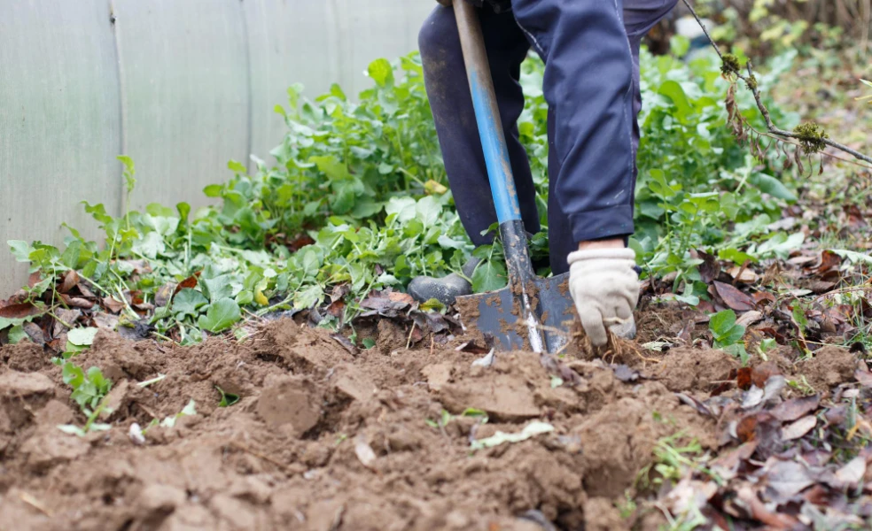 kedy radšej nerýľovať záhradu
