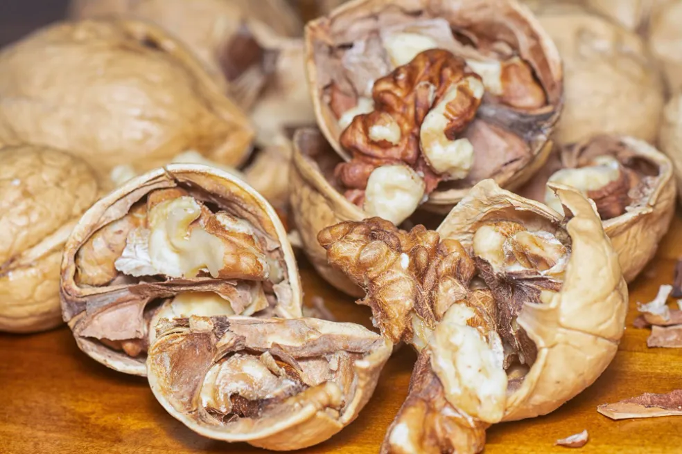 ako využiť škrupiny z orechov