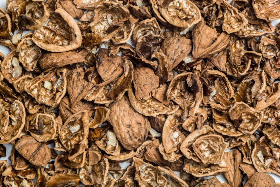 prečo nevyhadzovať škrupiny z orechov