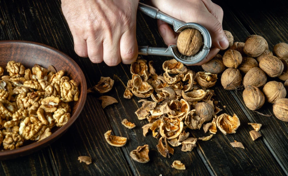 Orechové škrupiny ako prírodné hnojivo