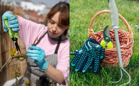 údržba záhrady pred jarou