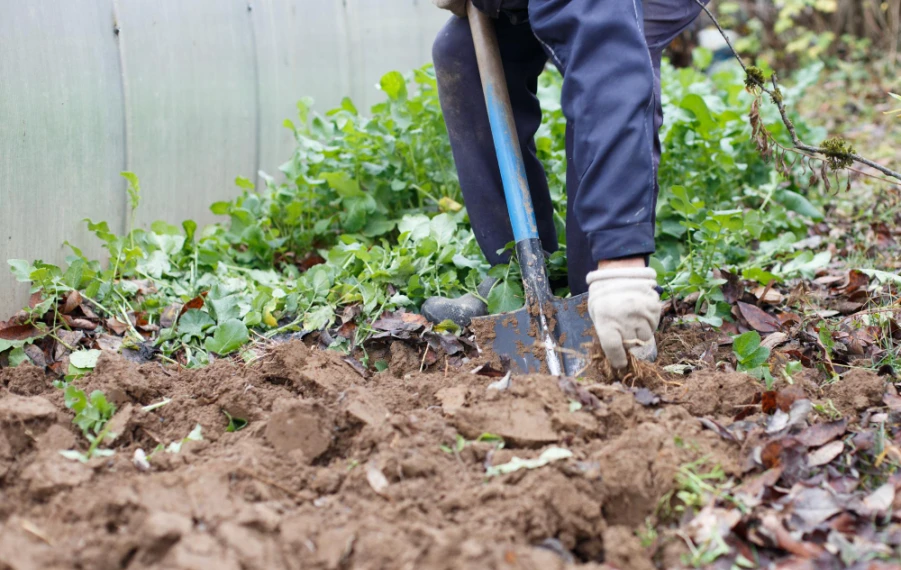 kedy radšej nerýľovať záhradu