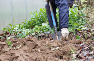 Rýľovanie záhrady: Kedy sa naozaj oplatí tento krok vynechať?