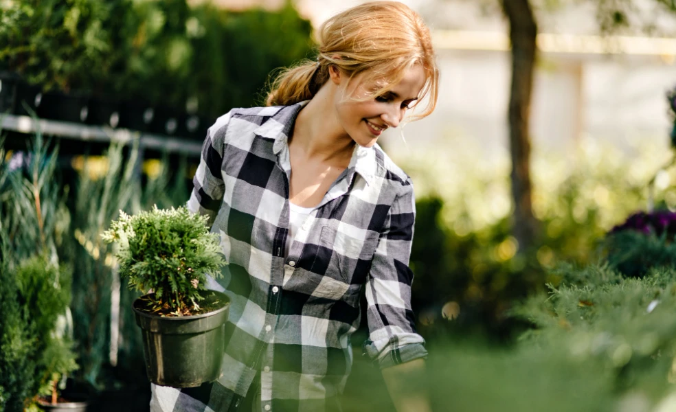 plánovanie záhrady na jar