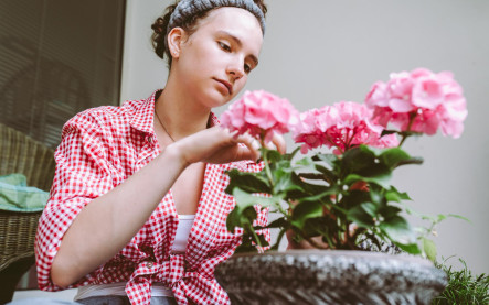 pestovanie muškátov