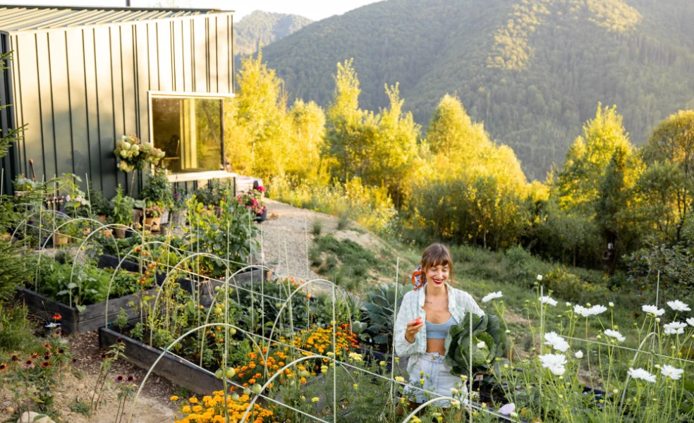 Bezúdržbová záhrada