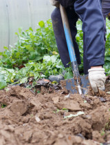 Rýľovanie záhrady: Kedy sa naozaj oplatí tento krok vynechať?