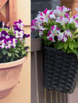 Prvé jarné rastliny na balkón: Farby, ktoré prebudia váš domov