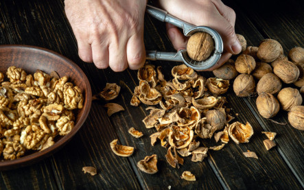 Orechové škrupiny ako prírodné hnojivo