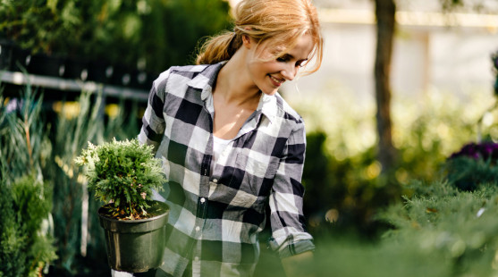 Najčastejšie chyby pri plánovaní záhrady na jar, ktoré vás môžu stáť čas aj peniaze