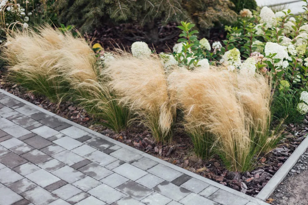 záhradné tipy a inšpirácie