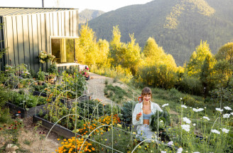 Bezúdržbová záhrada: Existuje vôbec taká alebo je to len mýtus?