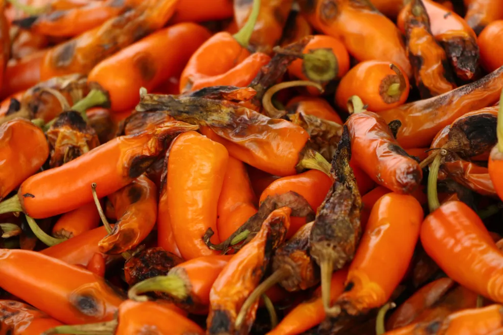 černejúce špičky paprík