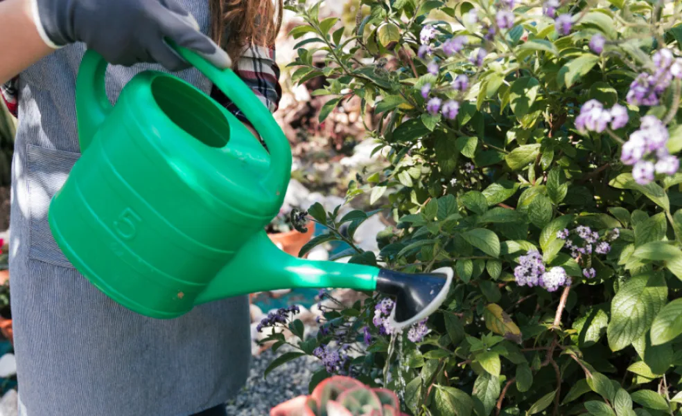 práce v záhrade jar