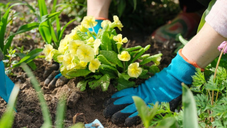 Lunárny kalendár pre záhradkárov na MAREC