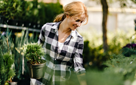 plánovanie záhrady na jar