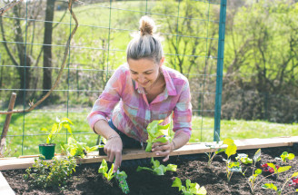 Ako kombinovať zeleninu a kvety v jednom záhone: Krásna aj úžitková záhrada bez chémie