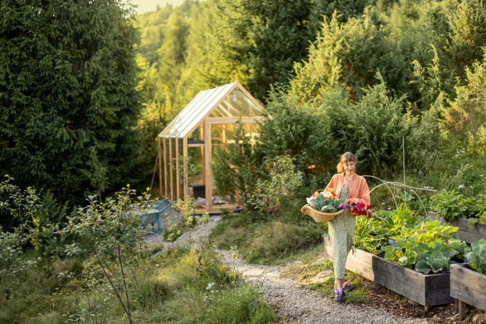 ako založiť bezúdržbovú záhradu
