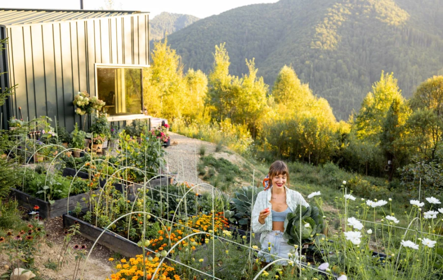 Bezúdržbová záhrada