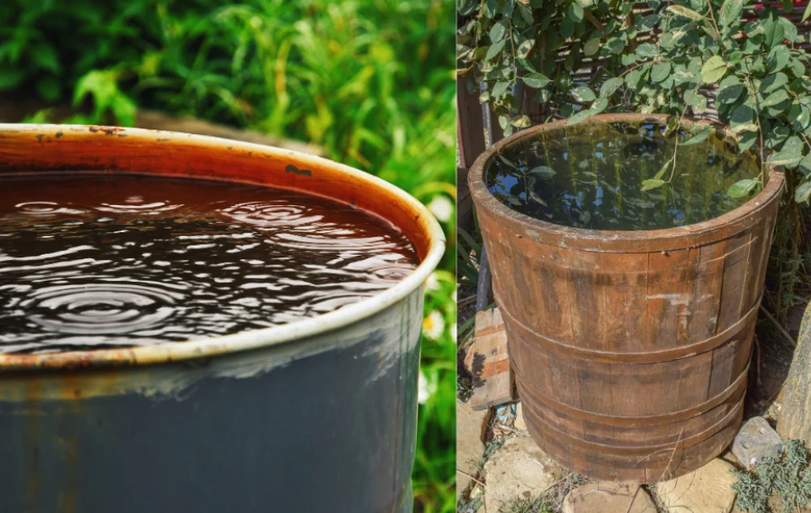 ako vybrať sud na vodu