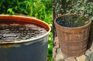 Ako vybrať sud na dažďovú vodu? Na aké parametre sa zamerať?