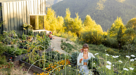 Bezúdržbová záhrada: Existuje vôbec taká alebo je to len mýtus?