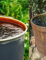 Ako vybrať sud na dažďovú vodu? Na aké parametre sa zamerať?