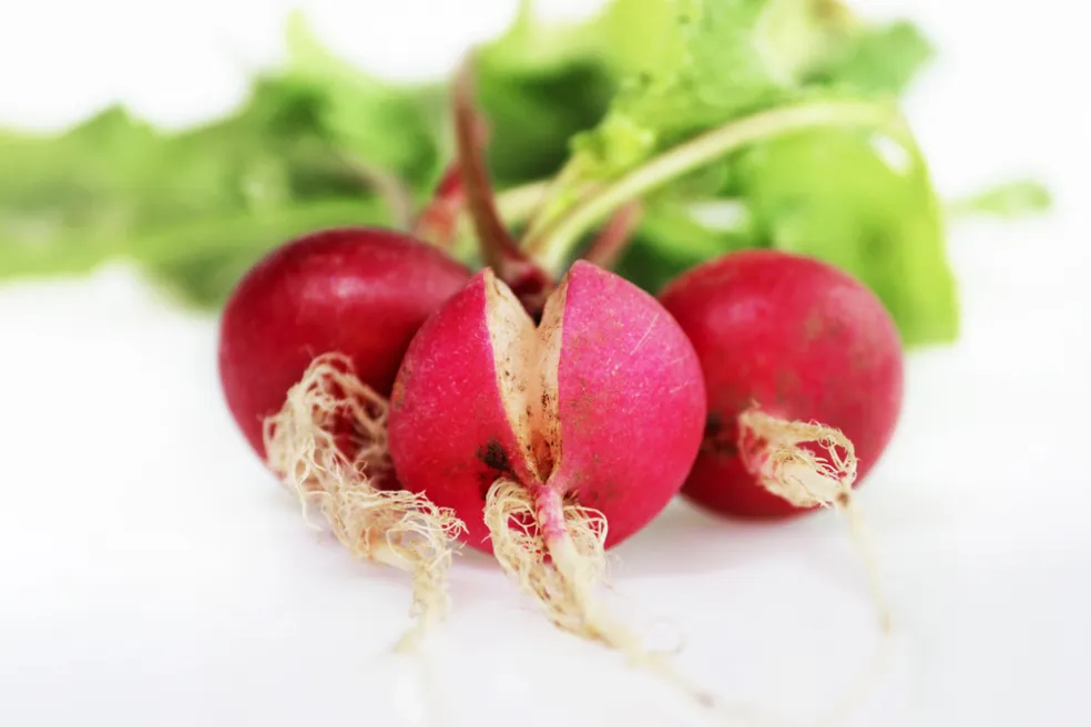 praskanie reďkoviek príčiny