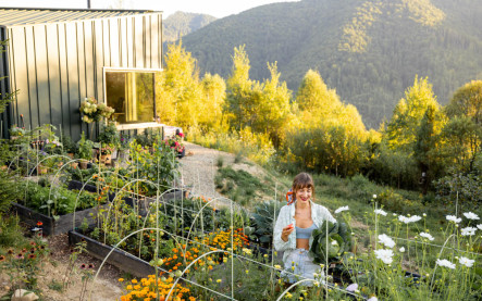 Bezúdržbová záhrada