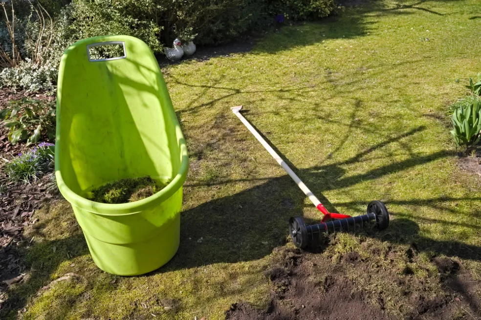 ako zachrániť trávnik po zime