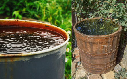 ako vybrať sud na vodu